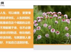 每日鸡汤你比别人多一点坚持你就会夺取胜利.zip