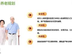 中英人寿传世鑫玺开发背景案例演示34页.pptx