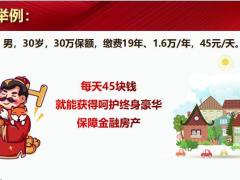 国寿福房子图之四大支柱 16页.pptx