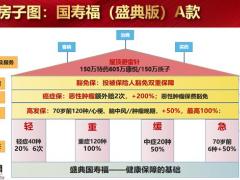国寿福房子图之屋顶避雷10页.pptx