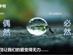 中英人寿臻爱臻享守护开发背景保险责任案例演示38页.pptx