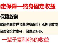 富德生命传世金典上市宣传片40页.pptx