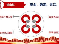 爱心人寿映山红增额终身寿险产品体系18页.pptx