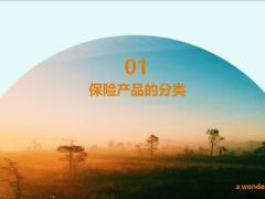 保险产品的分类四方关键合同构成39页.pptx
