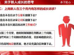 新人辅导培养思考辅导概述F16介绍45页.pptx