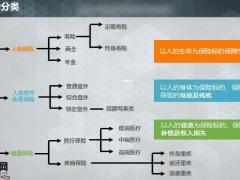 一分钟理清保险类别分类条款16页.pptx