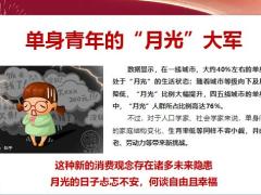 单身贵族的保险销售逻辑22页.pptx