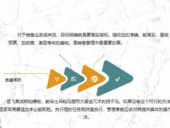清楚了执行力差的原因解决的办法也就变得明朗25页.pptx