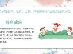 只要愿意投入一年就能走完普通保险人五年才能走完的路21页.pptx