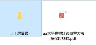 太平福禄娃终身重大疾病保险条款.rar
