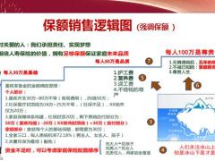 从算保额到老客户加保18页.pptx