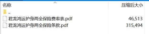 君龙鸿运护身两全保险条款费率.rar