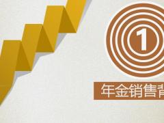 年金销售养老方向背景理念逻辑39页.pptx