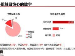 保险公司组织发展抓住机遇总结29页.pptx