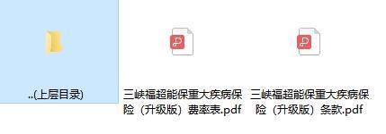 三峡福超能保重大疾病保险升级版条款费率.rar