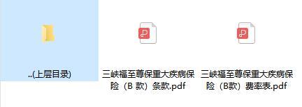 三峡福至尊保重大疾病保险B款条款费率.rar