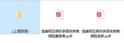 信美相互保好多团体疾病保险条款费率.rar