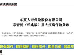 华夏常青树经典版重大疾病保险产品条款解析19页.pptx