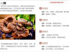 每日健康仙草灵芝功效多但灵芝的品质不由大小决定4页.ppt