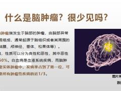 太平人寿福禄娃第二座金山销售逻辑20页.pptx