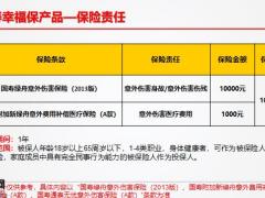 国寿保险产品幸福保产品介绍6页.pptx