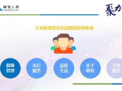 横琴人寿贵宾增值服务架构定制介绍查询43页.pptx