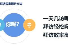 分享客户拜访效率提升方法17页.pptx