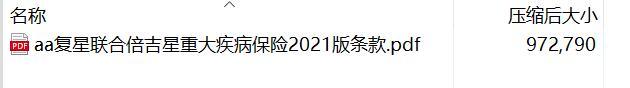 复星联合倍吉星重大疾病保险2021版条款.rar