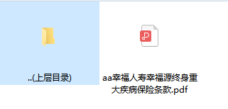 幸福人寿幸福源终身重大疾病保险条款.rar