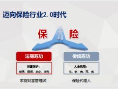 法商视角下的保险优势婚姻篇23页.pptx