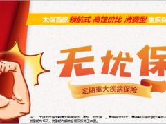 太保无忧保定期重大疾病保险宣导篇25页.pptx