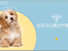 寿险团队从本质上来讲每个个体就是一家独立的企业24页.pptx