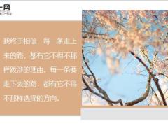 每日鸡汤痛苦是人生的拐杖它使强者更强弱者更弱.zip