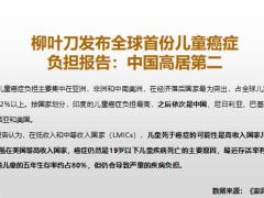 太平巧用福娃发布会助轻松签单20页.pptx
