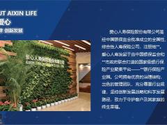 2021爱心人寿公司介绍29页.pptx