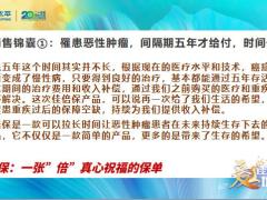 太平佳倍保产品销售锦囊9页.pptx