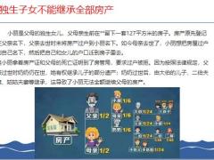 民法典独生子女不能继承全部房产19页.pptx