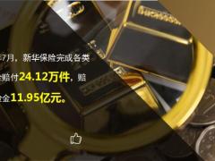 新华保险2021年7月十大赔案13页.ppt