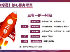 泰康人寿2021绿通小专题20页.pptx