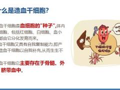 富德生命尊享健康重大疾病保险产品训练片特定疾病篇14页.pptx