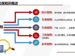 社保与商保基础知识V字图技能演练27页.pptx