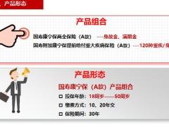 国寿康宁保A款产品分析18页.pptx
