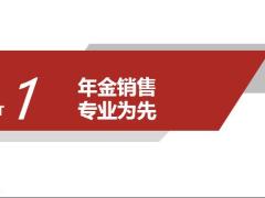 保险精英分享专业销售逻辑持续年金百万52页.pptx