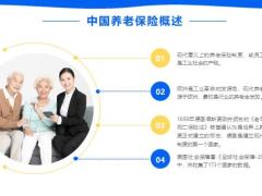 养老保险概述结构内容制度历史案例分析23页.pptx
