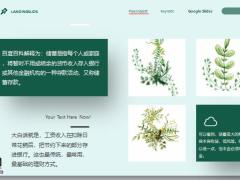 为什么要用保险做储蓄规划24页.pptx