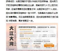 阳光人寿成长的故事白板精简版文字稿29页.pptx
