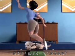 激励视频导盲犬小p加油哦.rar