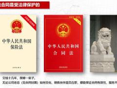 保险新人培训从保单体验看保险24页.pptx