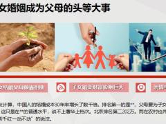 父母对子女婚姻财富支持技巧14页.pptx