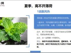 每日健康夏季水杯里最该泡的叶子就是它醒脑利咽祛暑防感冒15页.ppt
